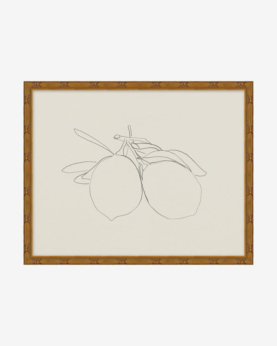 Sketched Fruit I