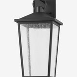 Soren Frosted Indoor/Outdoor Wall Sconce