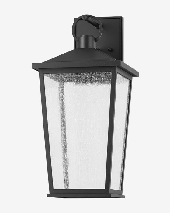 Soren Frosted Indoor/Outdoor Wall Sconce