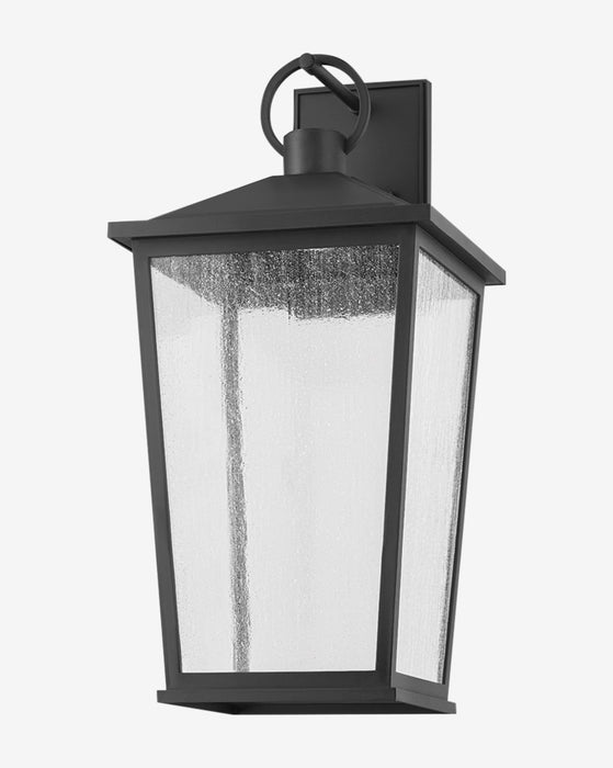 Soren Frosted Indoor/Outdoor Wall Sconce