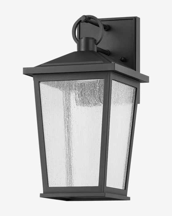 Soren Frosted Indoor/Outdoor Wall Sconce