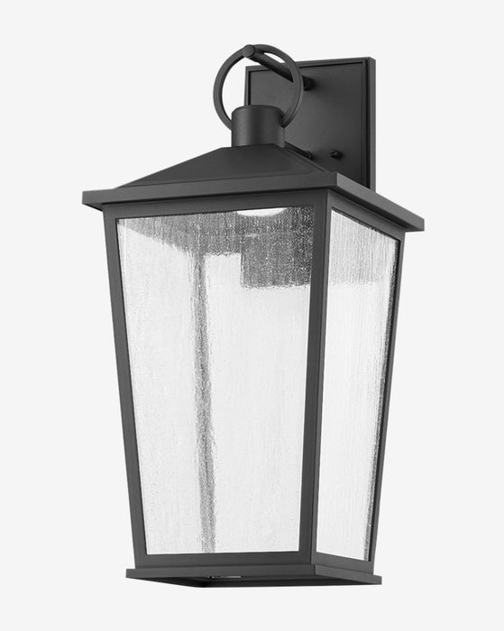 Soren Frosted Indoor/Outdoor Wall Sconce