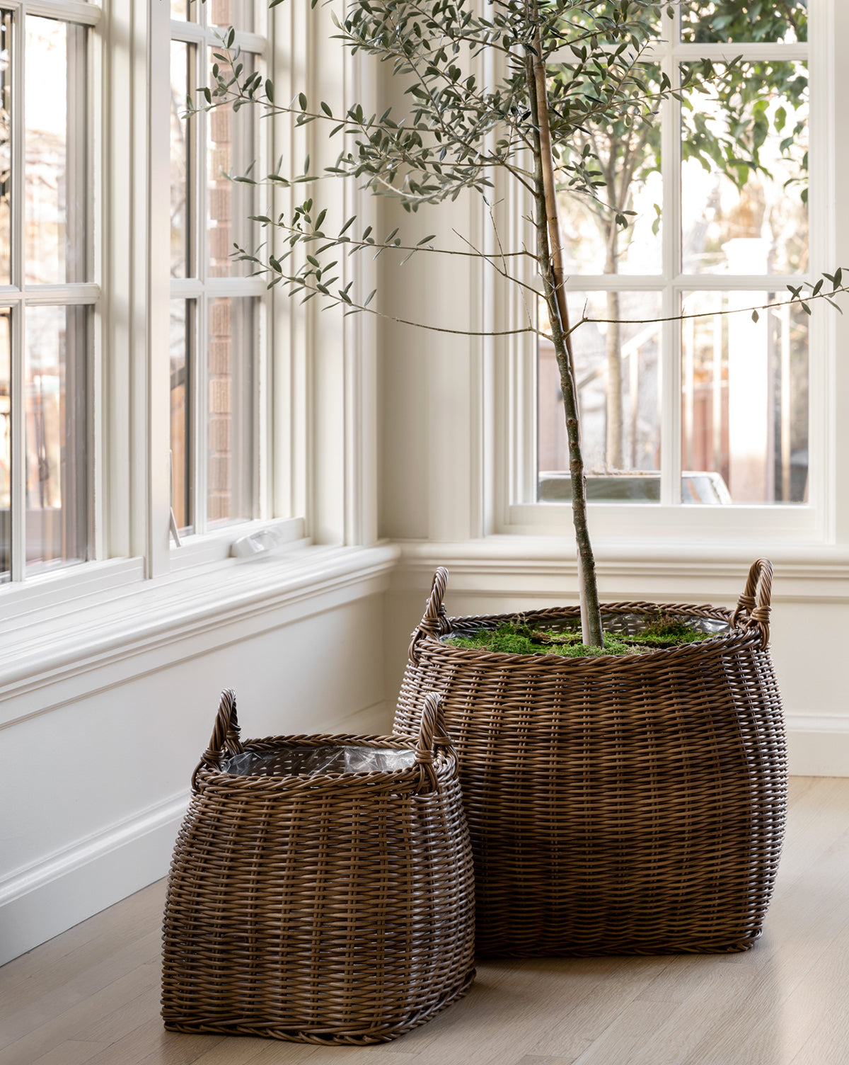 plant baskets indoor Handled Planter Basket