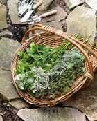 Rattan Gardening Tray