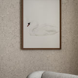 Neutral Swan