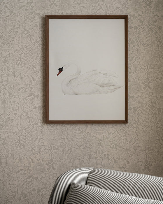 Neutral Swan
