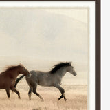 Wild Horses