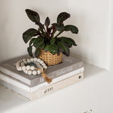 Natural Cement Planter (Set of 2)