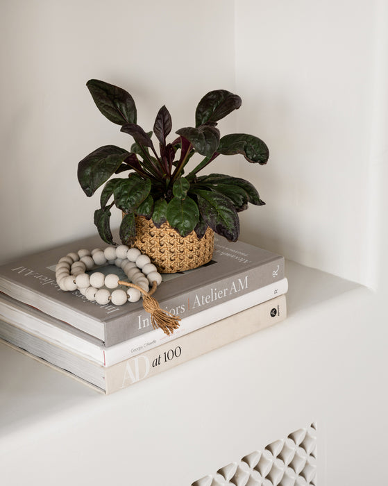 Natural Cement Planter (Set of 2)