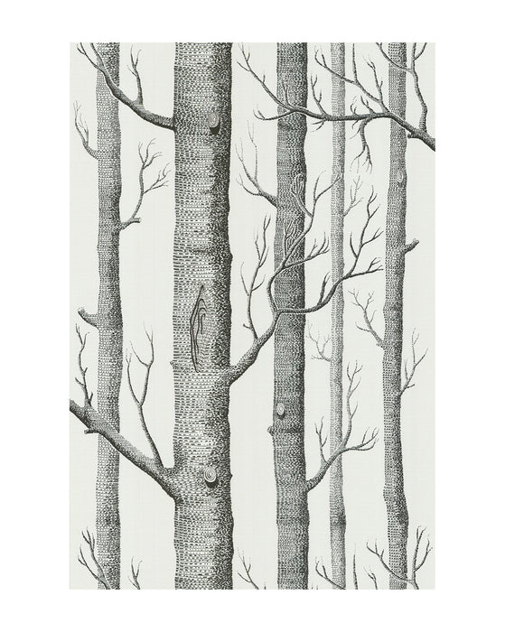 Woods Wallpaper