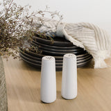 Ceramic Salt & Pepper Shakers