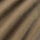 Velvet Upholstery Swatch