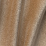 Velvet Upholstery Swatch